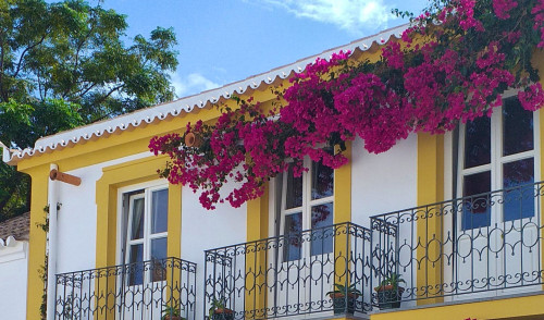 Dona Ana Home - Gallery - 36