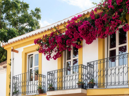 Dona Ana Home - Gallery - 118