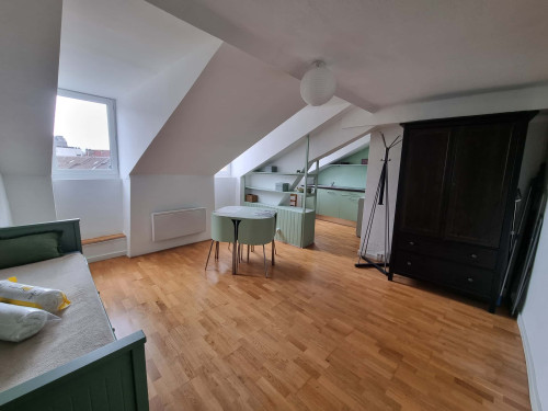 Apartment in Rue Emile Guichenné, Pau for 23 m² - Gallery - 6