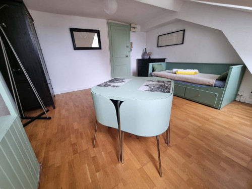 Apartment in Rue Emile Guichenné, Pau for 23 m² - Gallery - 5