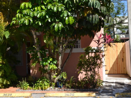 Room in the heart of Coral Gables