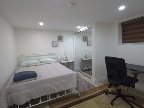 Modern friendly home