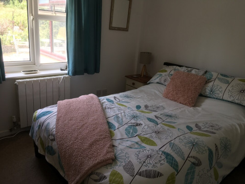 Friendly Falmouth - Gallery - 2