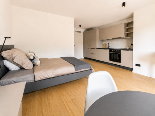 Furnished new-build flat in a central location