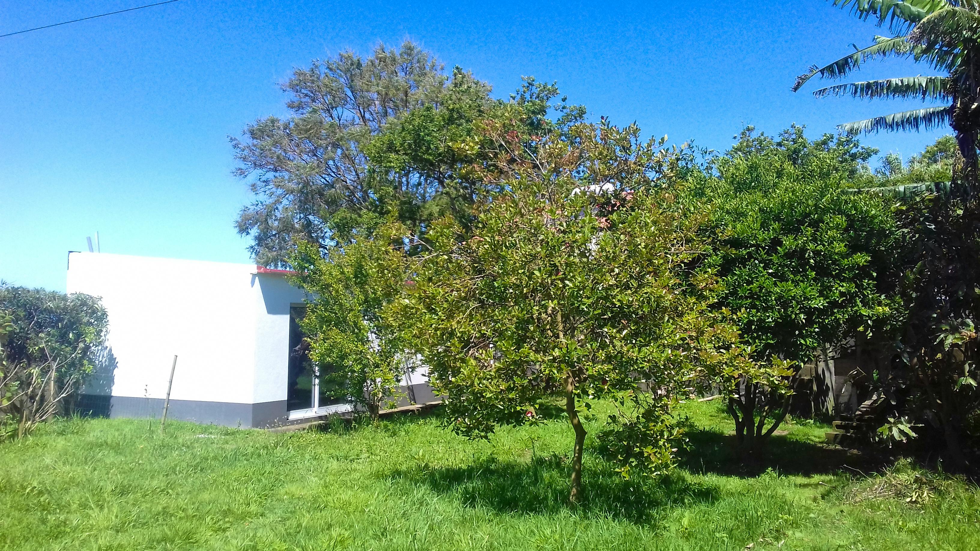 Garden Room For 1 Or 2P - Candelária Home - Gallery - 2