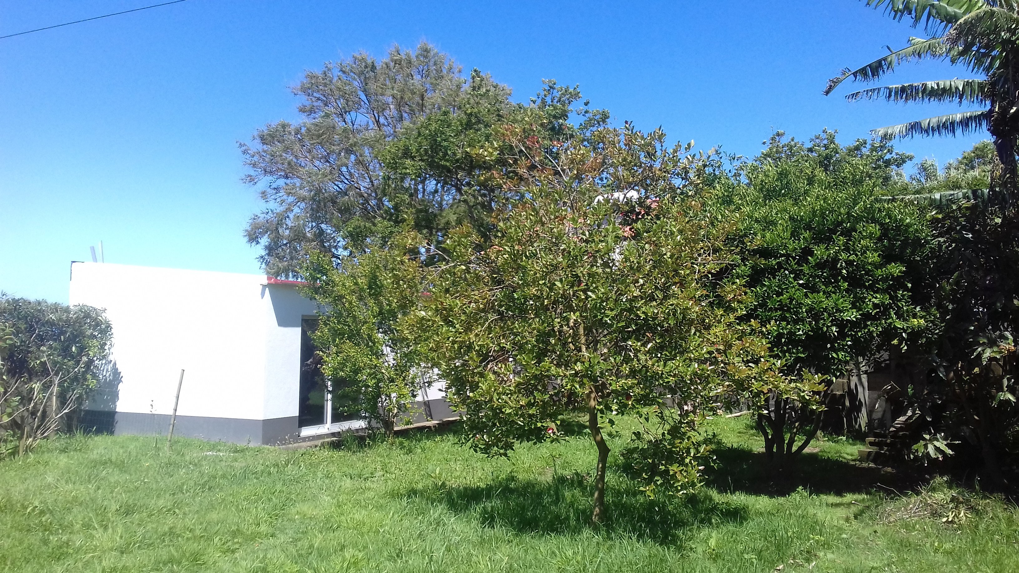 Garden Room For 1 Or 2P - Candelária Home - Gallery - 26