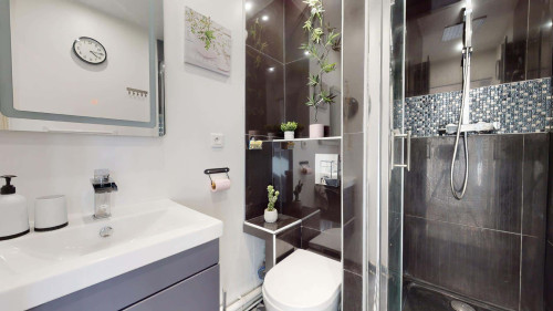 Room in Rue Joachim du Bellay, Toulouse for 97 m² with 5 bedrooms - Gallery - 13