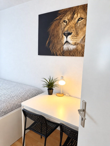 Apartment in Dresden