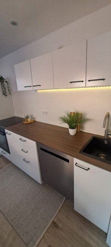 Beautiful Suite in Neckarsulm - Gallery - 5