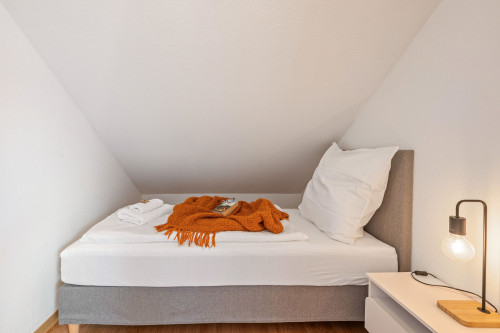 Beautiful and bright 3 room flat in Bad Friefdrichshall