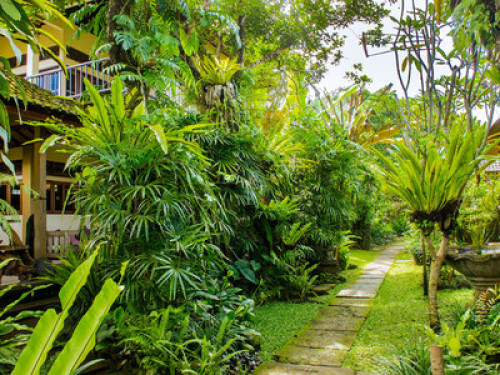  Payogan Homestay authentic  Bali