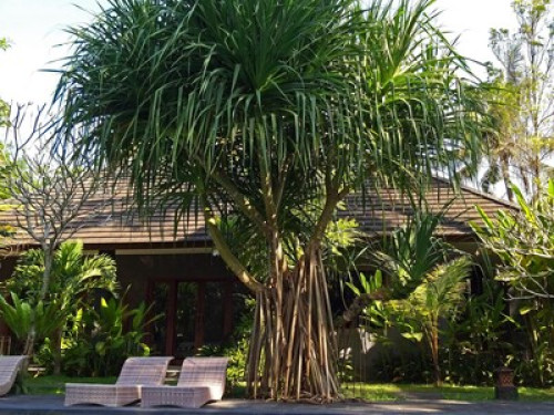 A Real Local Family Hotel - Gallery - 25