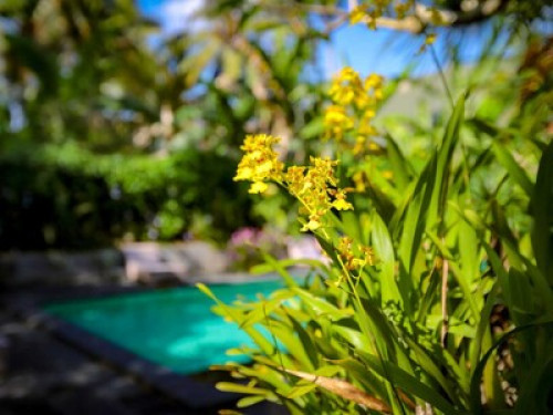 A Real Local Family Hotel - Gallery - 3