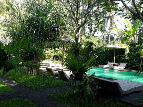 A Real Local Family Hotel - Gallery - 41