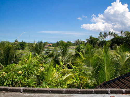 UmaLoca House