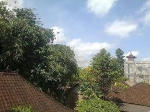 Depa House Ubud - Gallery - 5