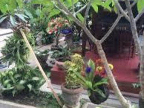 Depa House Ubud