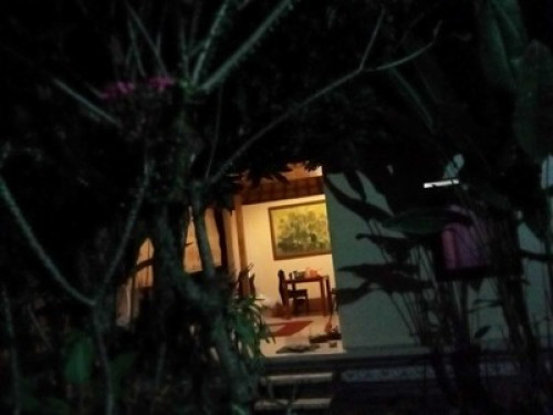 Little house arround Ubud - Gallery - 8