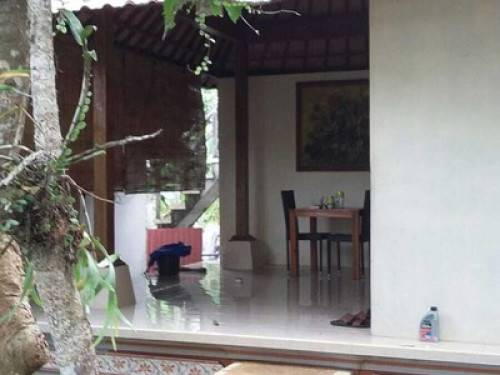 Little house arround Ubud - Gallery - 7