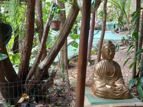 jacu beach house - Gallery - 8