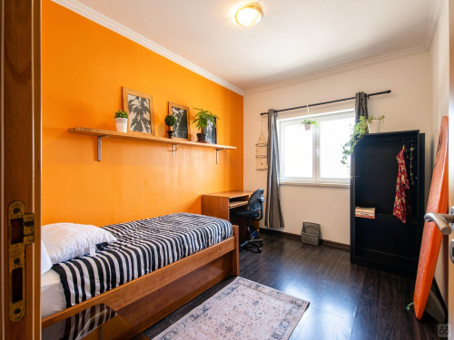 Jardim Home - Gallery - 38