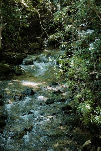 Yakushima Residence - Gallery - 35