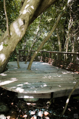 Yakushima Residence - Gallery - 34