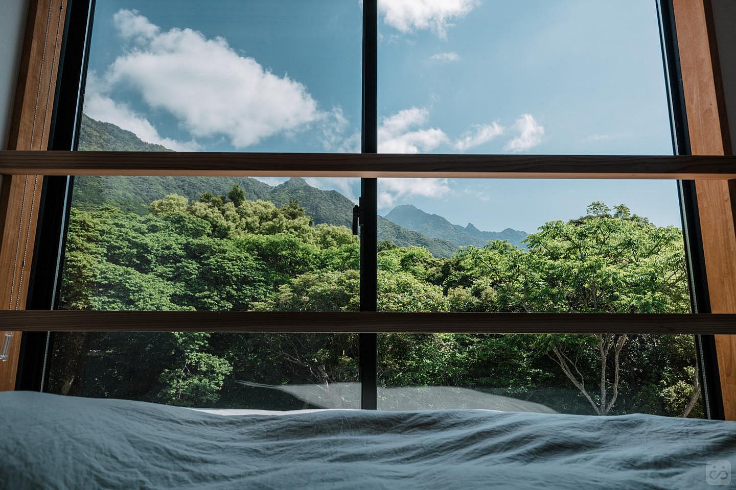 Forest View Single Room - 2