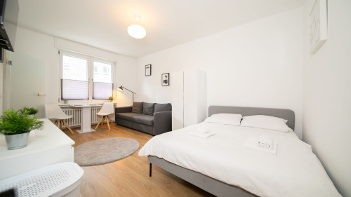 Central apartment in a prime location with a kitchen