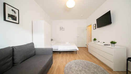 Central apartment in a prime location with a kitchen - Gallery - 13