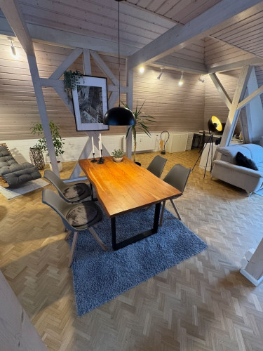 Modern and bright loft-style apartment (Worms) with mezzanine - Gallery - 9