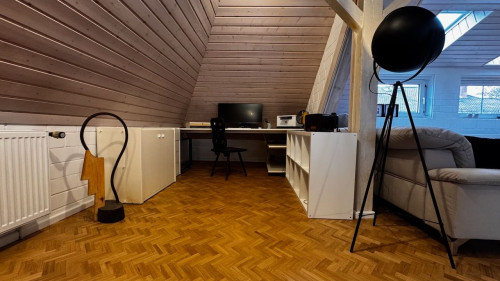 Modern and bright loft-style apartment (Worms) with mezzanine - Gallery - 25