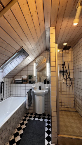 Modern and bright loft-style apartment (Worms) with mezzanine - Gallery - 20