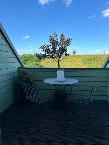 Stylish 2-Room Apartment | 90 m² | Dresden North | Parking & WiFi - Gallery - 6