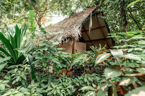 Bocas Del Toro Province Collective - Gallery - 45