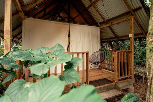 Bocas Del Toro Province Collective - Gallery - 34
