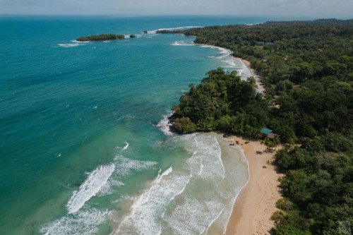 Bocas Del Toro Province Collective - Gallery - 72