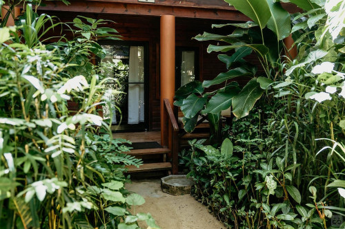 Bocas Del Toro Province Collective - Gallery - 23