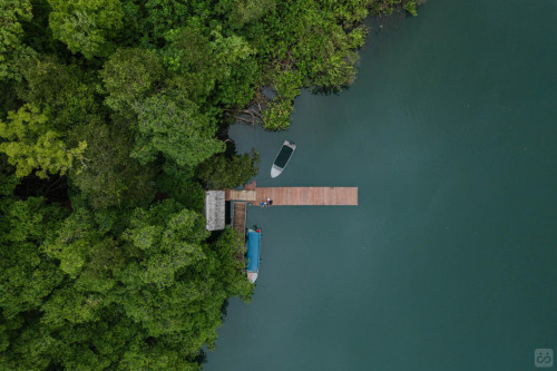 Bocas Del Toro Province Collective - Gallery - 71