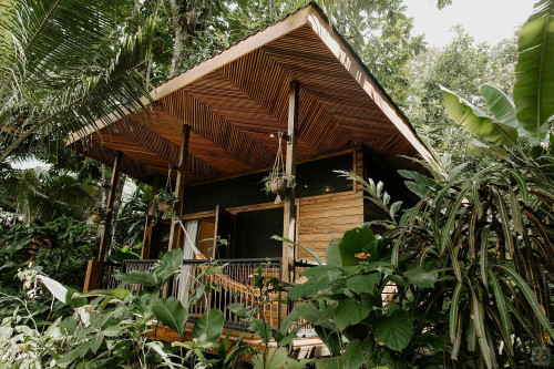 Bocas Del Toro Province Collective - Gallery - 9