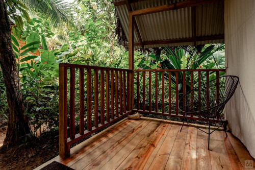 Bocas Del Toro Province Collective - Gallery - 35