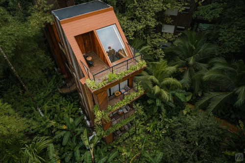 Bocas Del Toro Province Collective - Gallery - 84