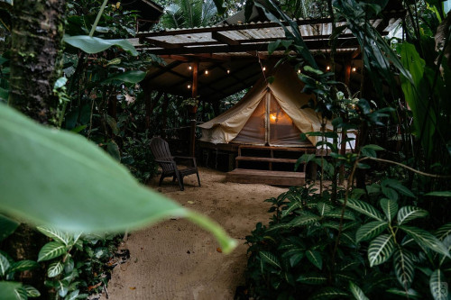 Bocas Del Toro Province Collective - Gallery - 44