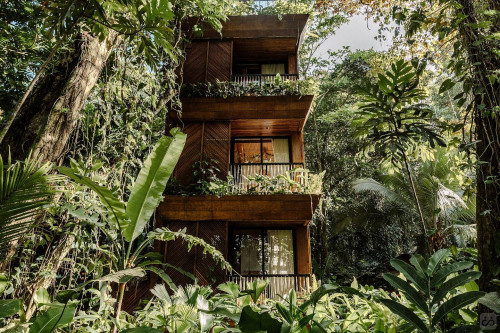 Bocas Del Toro Province Collective - Gallery - 86