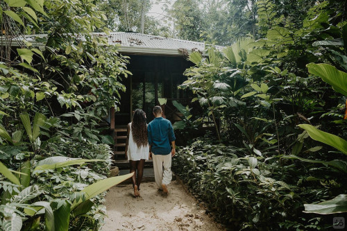 Bocas Del Toro Province Collective - Gallery - 100