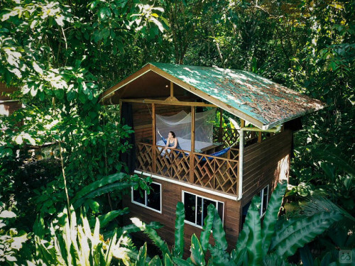 Bocas Del Toro Province Collective - Gallery - 46