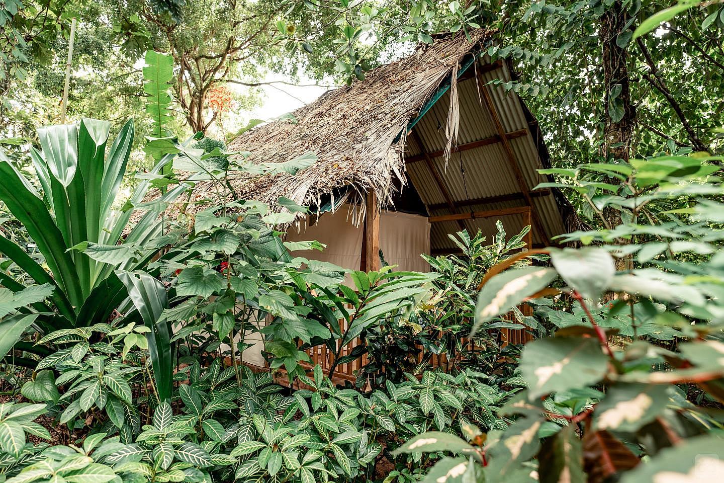 SAFARI TENT - 4