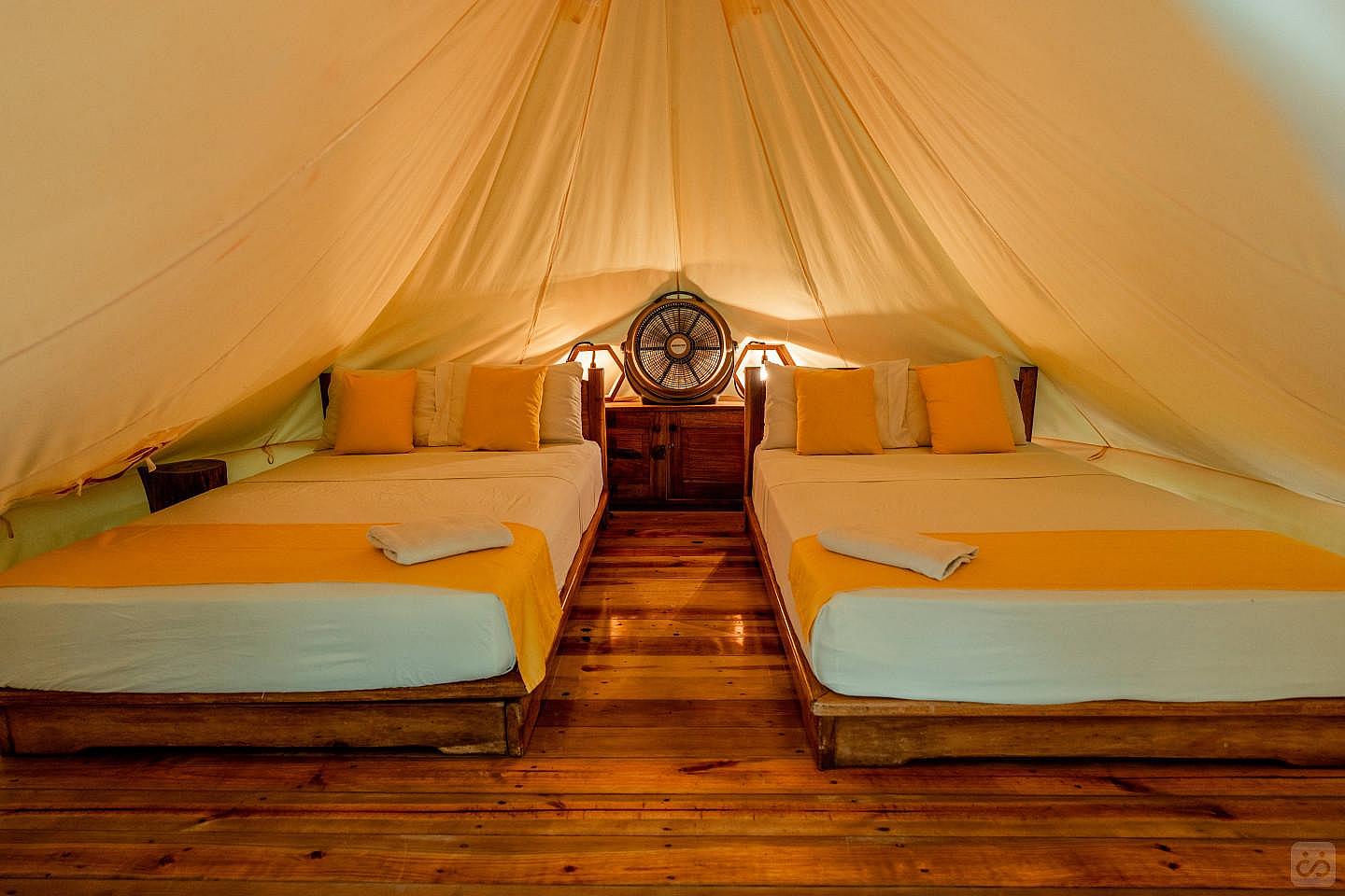 RAINFOREST TENT - 5