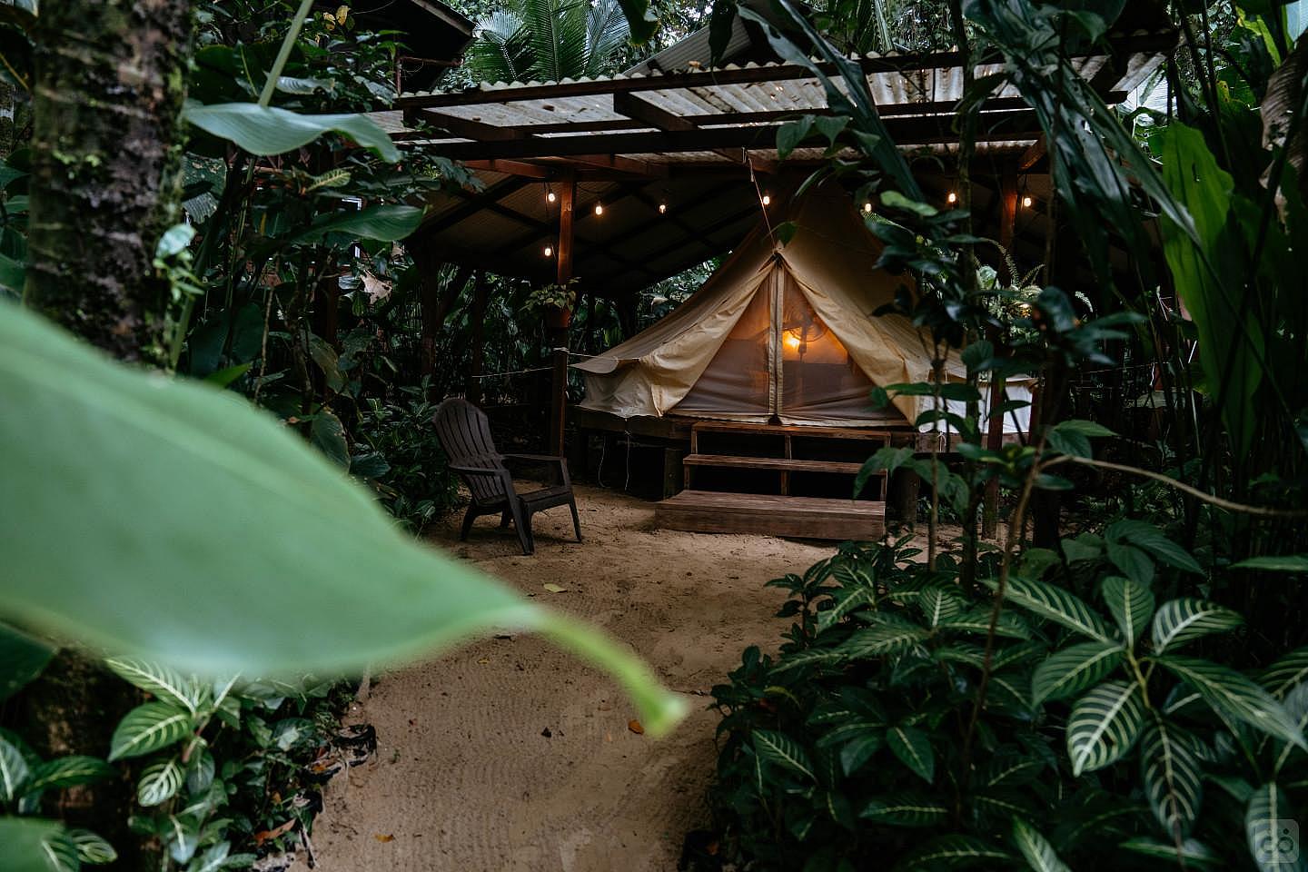 RAINFOREST TENT - 4