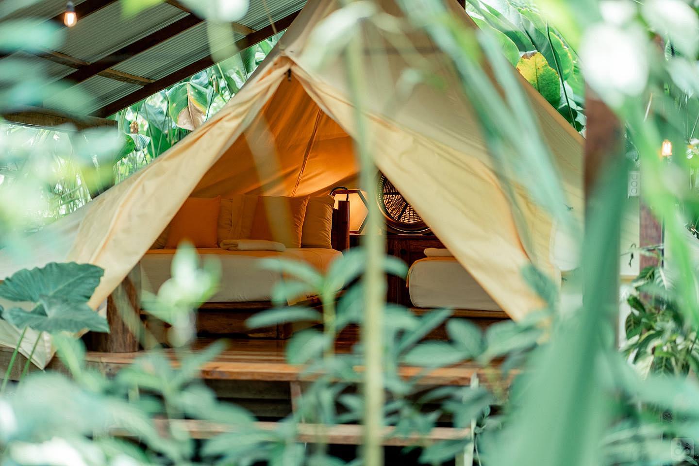 RAINFOREST TENT - 3